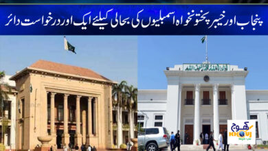 punjab and kpk assembly news