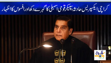 raja pervaiz ashraf news