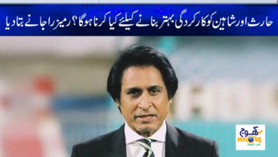 rameez raja news