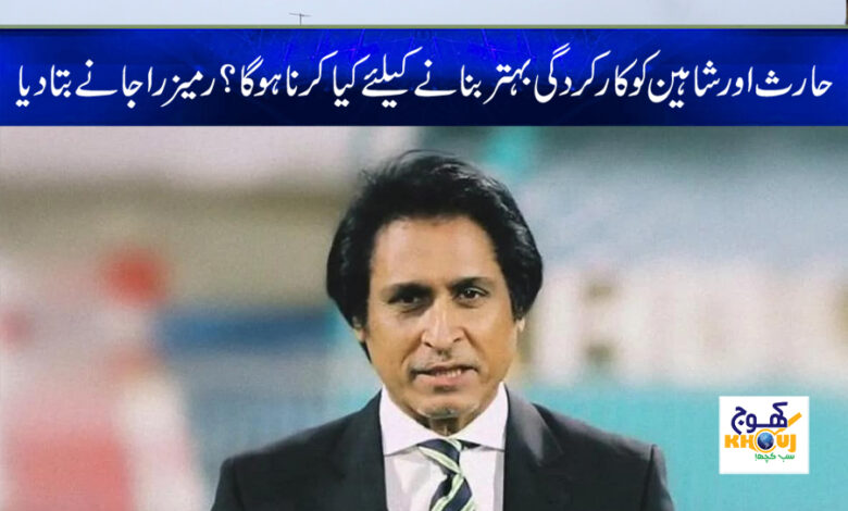 rameez raja news
