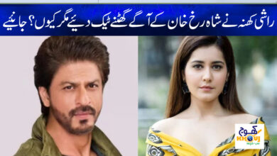 rashi khanna and shahrukh khan news