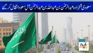 saudi prince death news