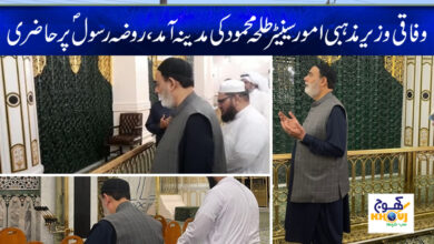 senator talha mahmood news