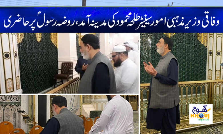 senator talha mahmood news