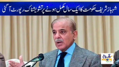 Shahbaz Sharif Govt News in Urdu
