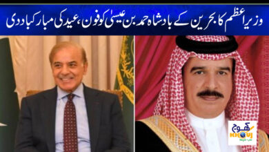 shahbaz sharif talk with bahreen king