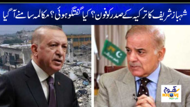 shahbaz sharif talk with turkey president
