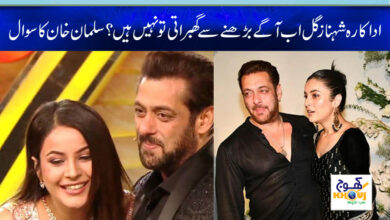 Big Boss Season 13 News in Urdu