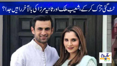 shoaib malik and sania mirza news