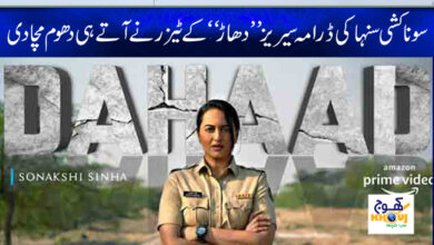 sonakshi sinha drama dahaad teseer