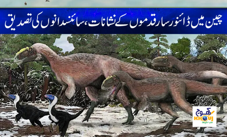 Dinosaur in China News in Urdu