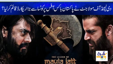 the legend of maula jatt news