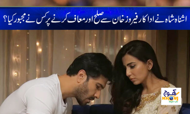 Ashna Shah Forgives Feroze Khan News