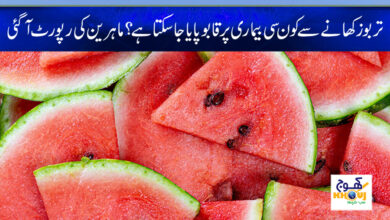 watermelon news