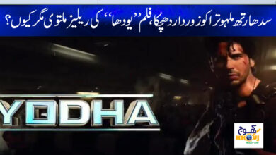 yodha movie news