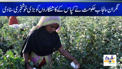 Cotton growers news
