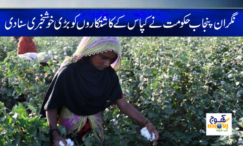 Cotton growers news
