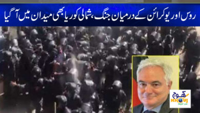 German ambassador expresses concern over Imran's arrest news