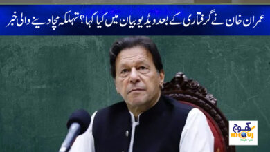 Imran Khan video statement news