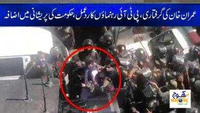 PTI leader recat on imran khan arrest news