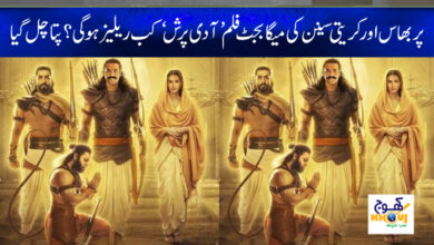 adipurush movie news