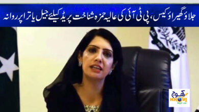 aliya hamza news