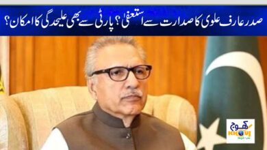 arif alvi news