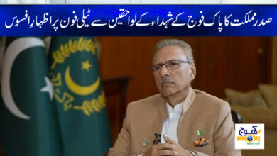 arif alvi news