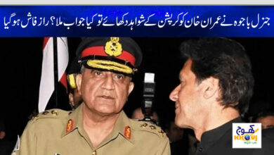 bajwa and imran khan news