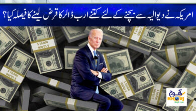 biden and dollar