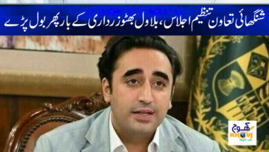 bilawal bhutto news