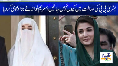 bushra bibi and maryam nawaz news