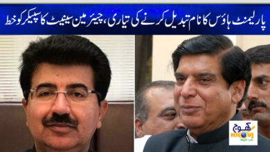 chairman senate and speaker national assembly news