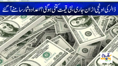 dollar news
