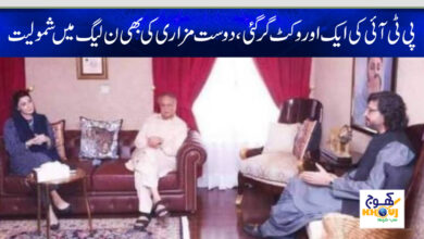 dost mazari join pmln