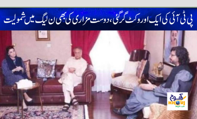 dost mazari join pmln