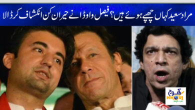 faisal wada and murad saeed