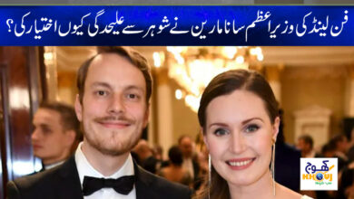 finland prime minister news