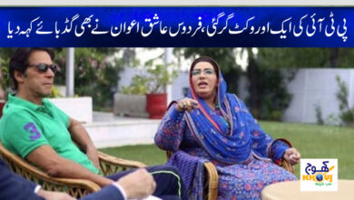 firdous ashiq awan news