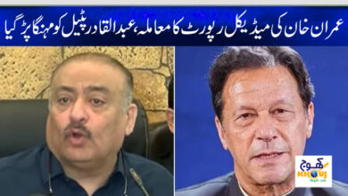 imran khan and abdul qadir patel