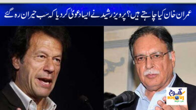 imran khan and pervaiz rasheed news