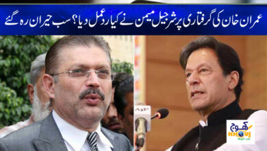imran khan and sharjeel memon