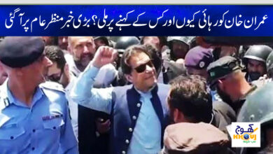 imran khan news