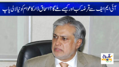 ishaq dar