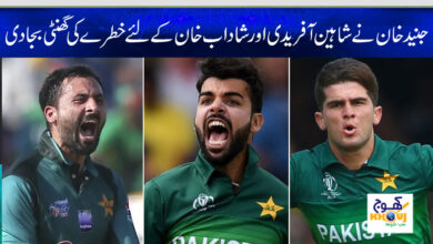 jounied khan shaheen afridi and shadaab khan