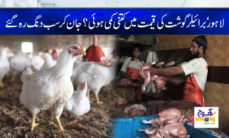 lahore broiler chicken news