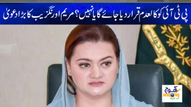 maryam aurangzeb news