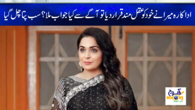 meera news