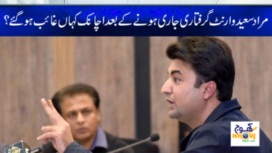 murad saeed news