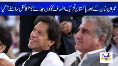 new chairman of pti